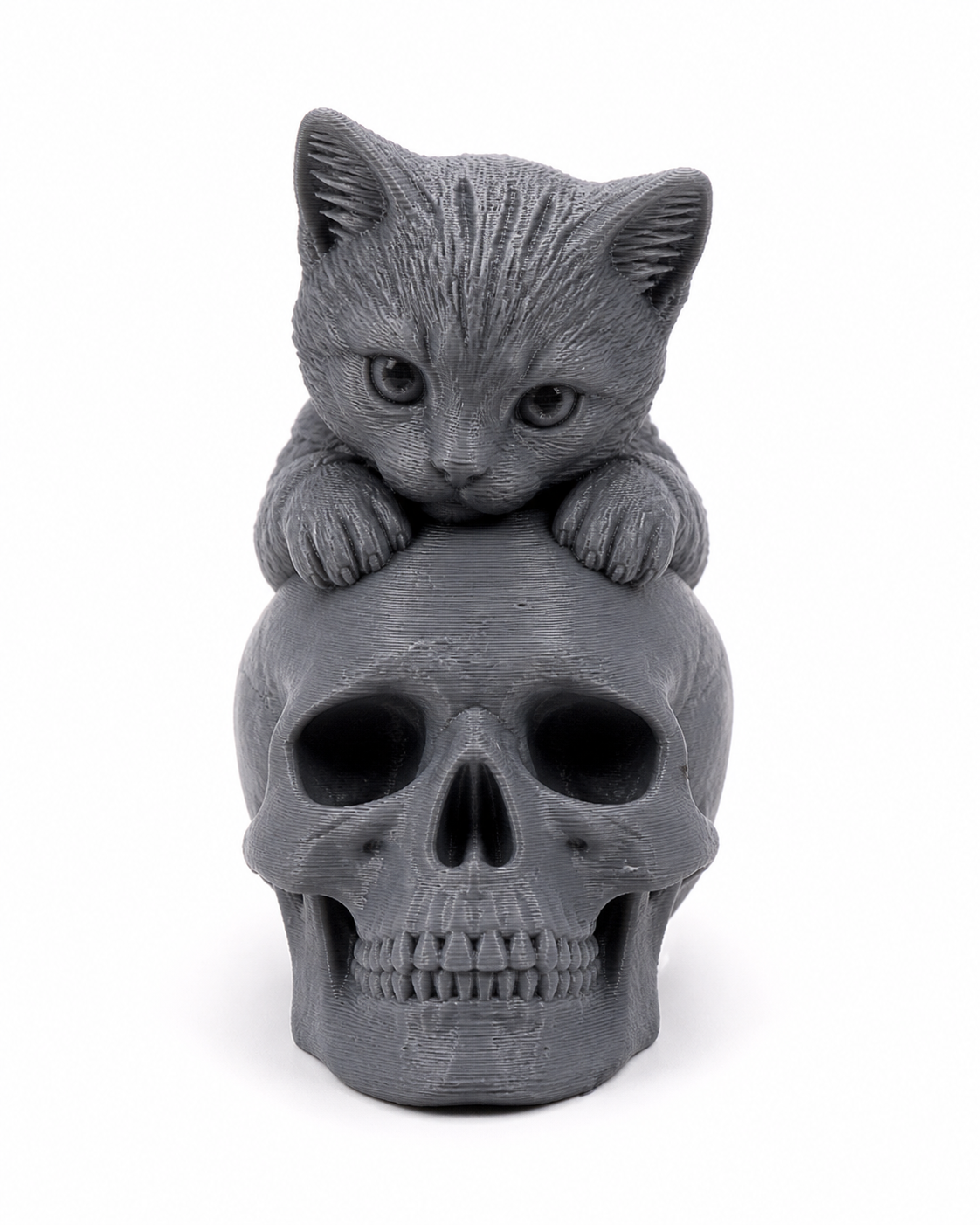 Kitten on Skull 3D-Druck kreative Design-Inspiration