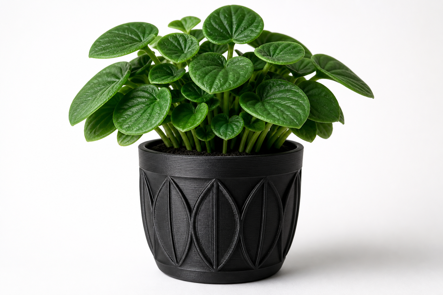 桌面盆栽盒(立方藻种植器) 3D Printing Creative Design Inspiration