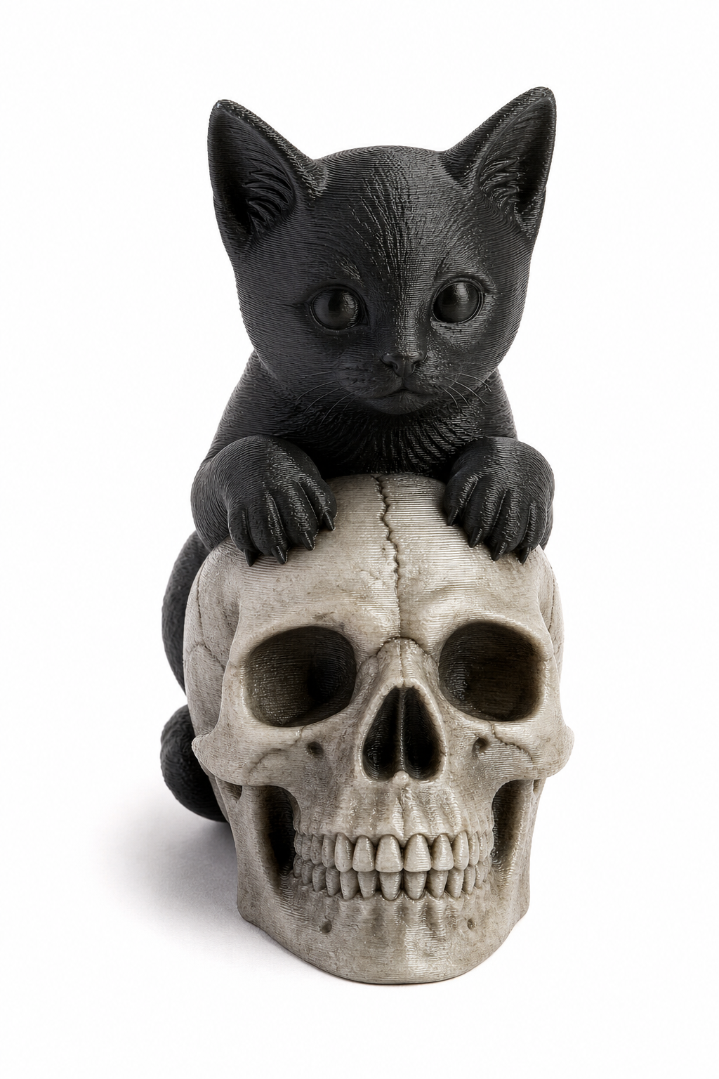 Kitten on Skull Inspiración de diseño creativo impresión 3D