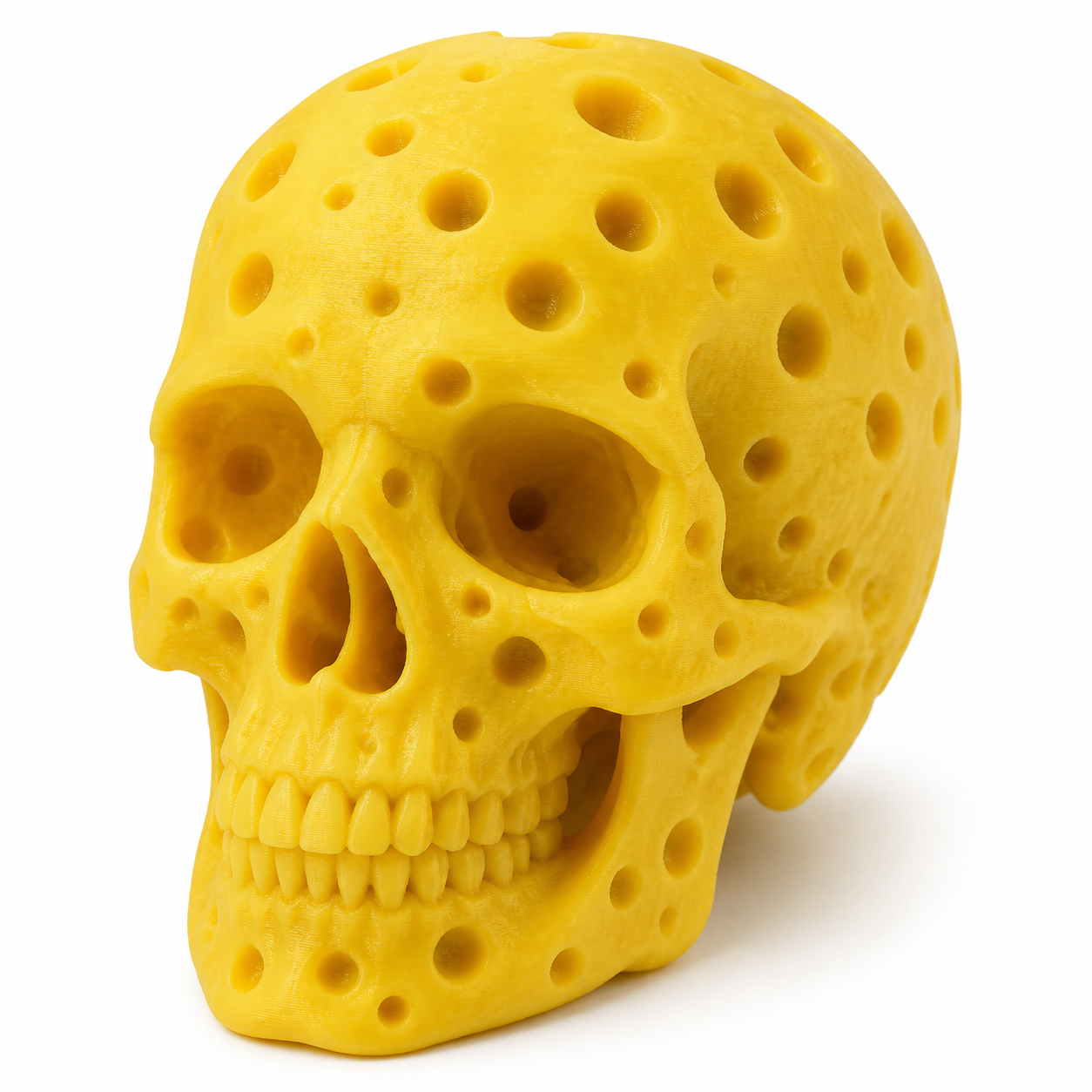 Cheese Skull 3D프린팅 창의 디자인 인스피레이션