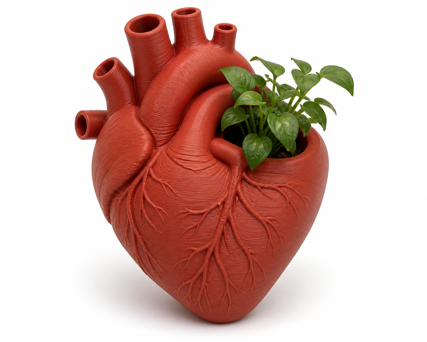Heart Vase / Planter3D打印创意设计灵感