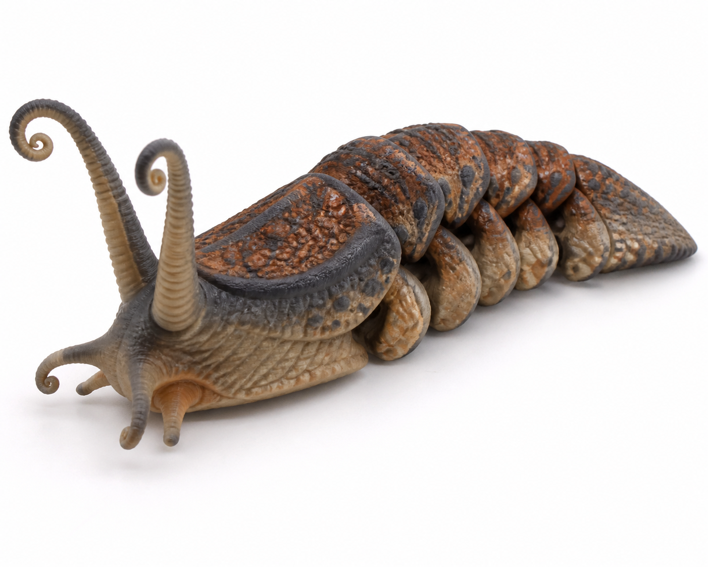 蛞蝓 鼻涕蟲 slug 可以動 إلهام التصميم الإبداعي للطباعة ثلاثية الأبعاد