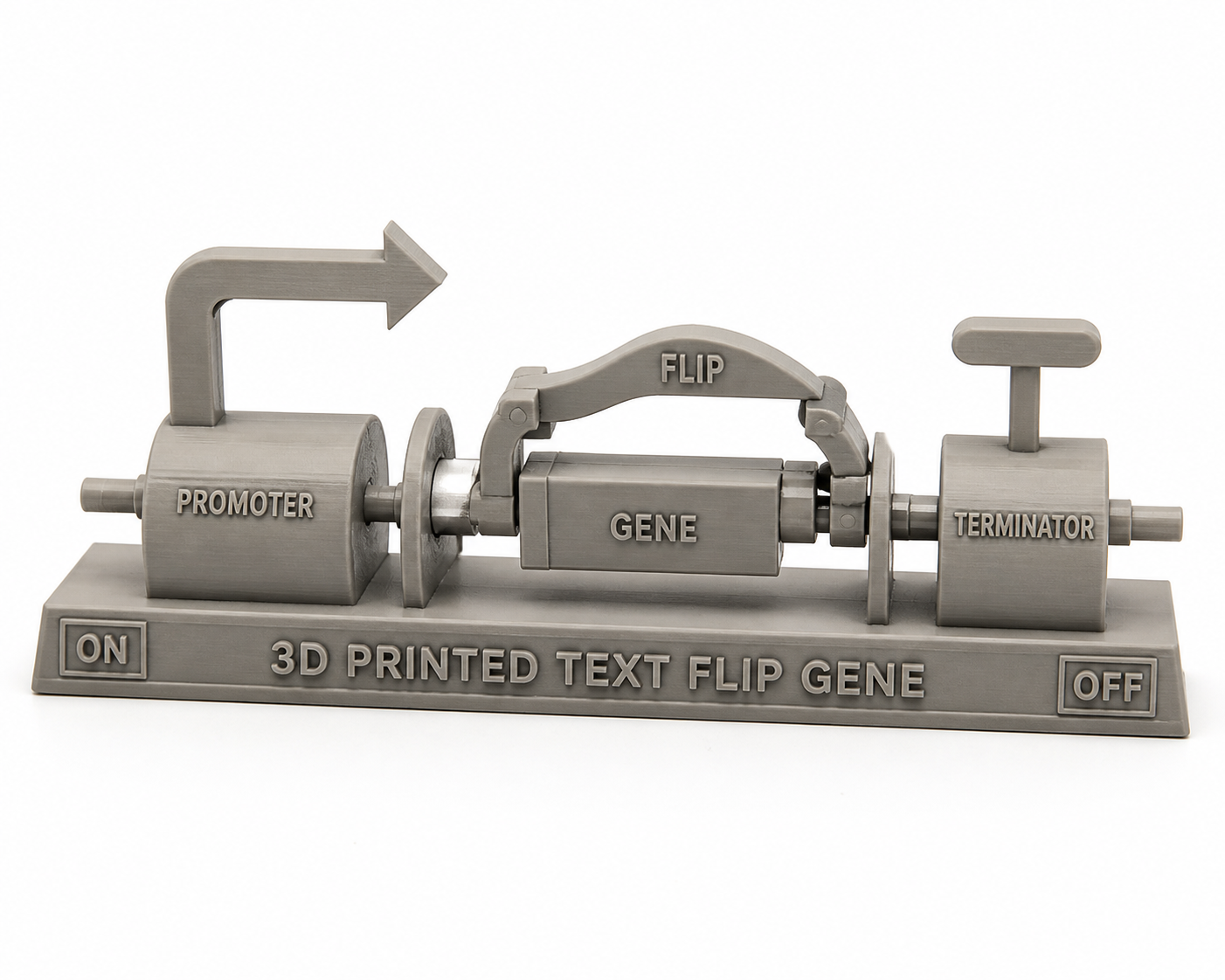 Text Flip: Gene - Ke Inspirasi reka bentuk kreatif cetakan 3D