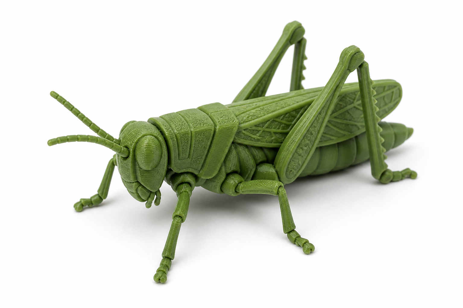 Tiny Grasshopper - A Ispirazione di design creativo stampa 3D