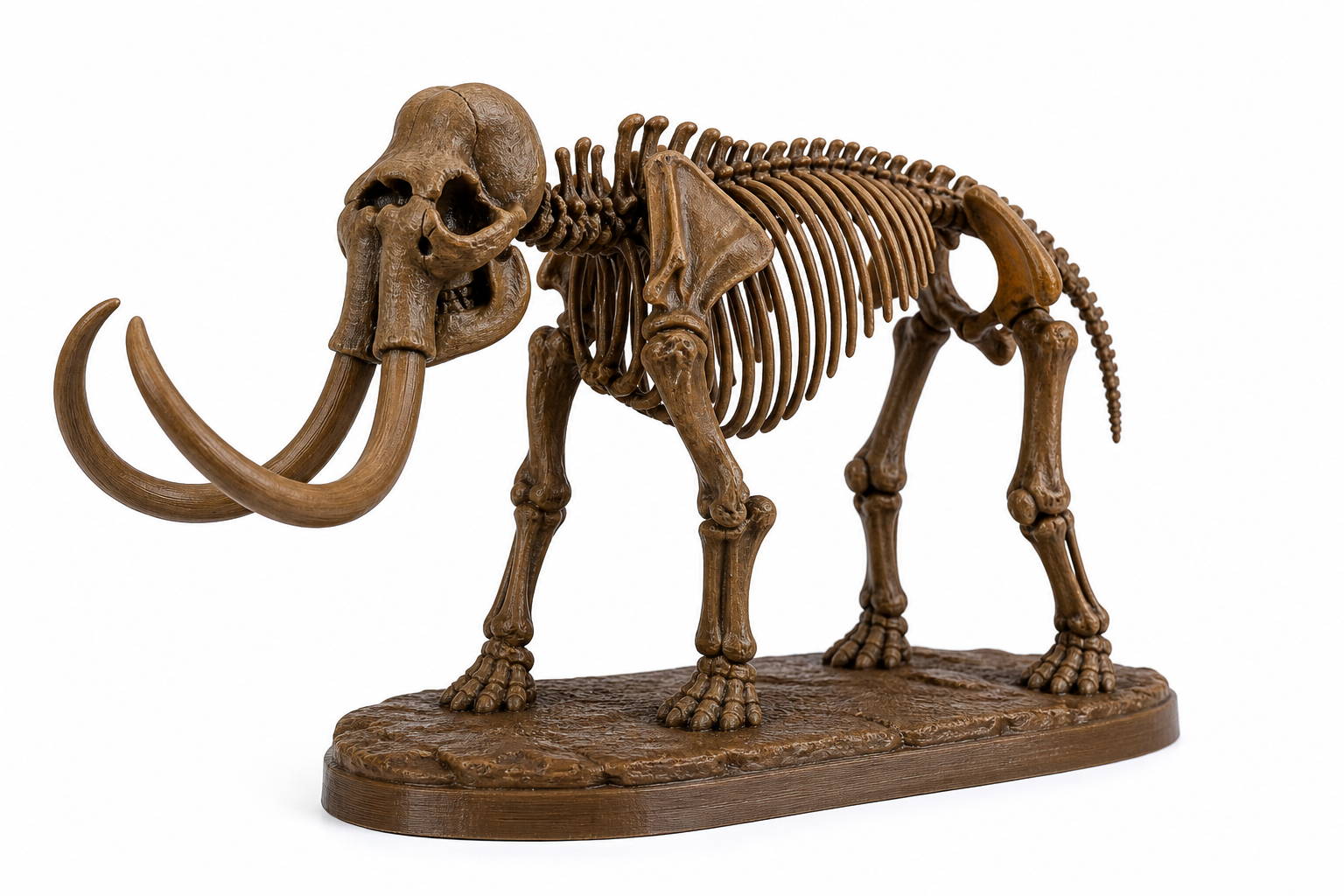 猛犸象化石 แรงบันดาลใจการออกแบบสร้างสรรค์พิมพ์ 3D