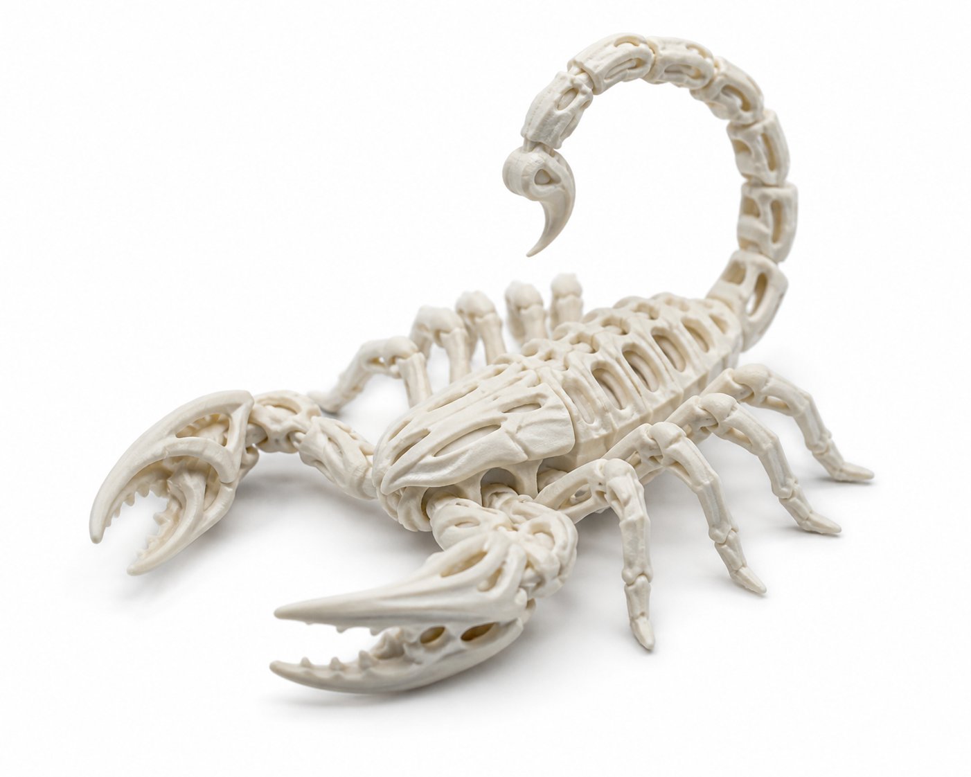 柔性骨骼蝎子 3D Printing Creative Design Inspiration