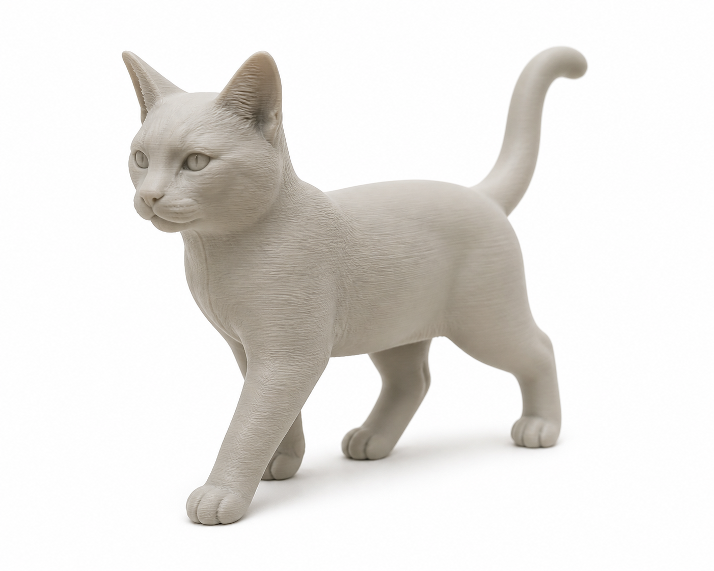 创想云实用模型 feline 3D 프린팅 창의 디자인 영감